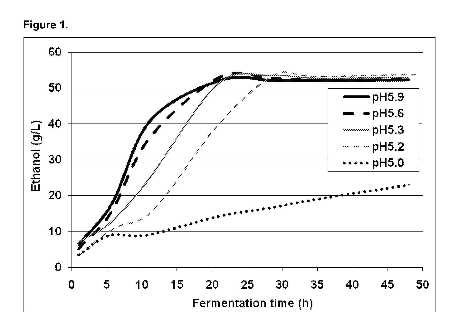 Process for alcoholic fermentation of lignocellulosic biomass