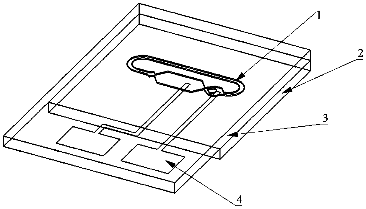 Microfluid inertia grounding switch capable of bidirectionally identifying