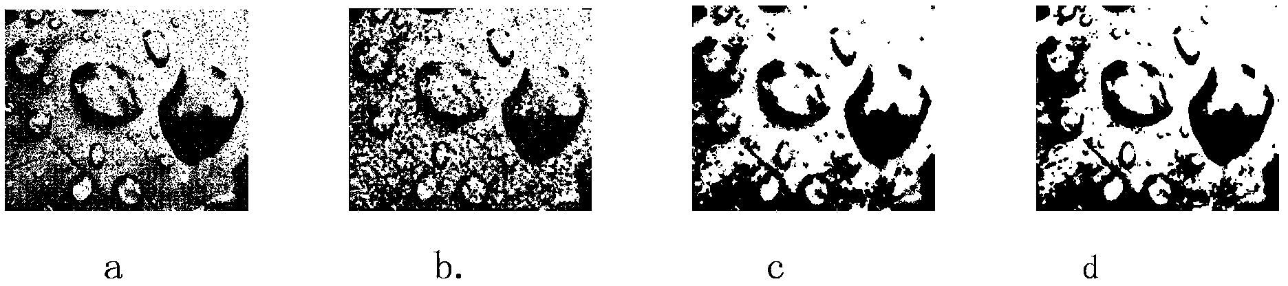 Method for automatically identifying hydrophobic grades of composite insulators