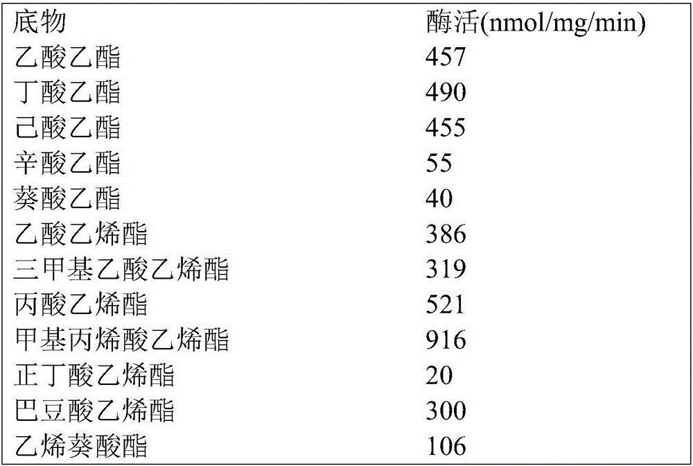 Esterase and application thereof