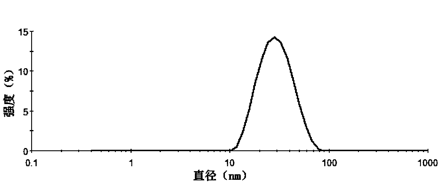 Docetaxel nanometer micelle, and preparation method and application thereof