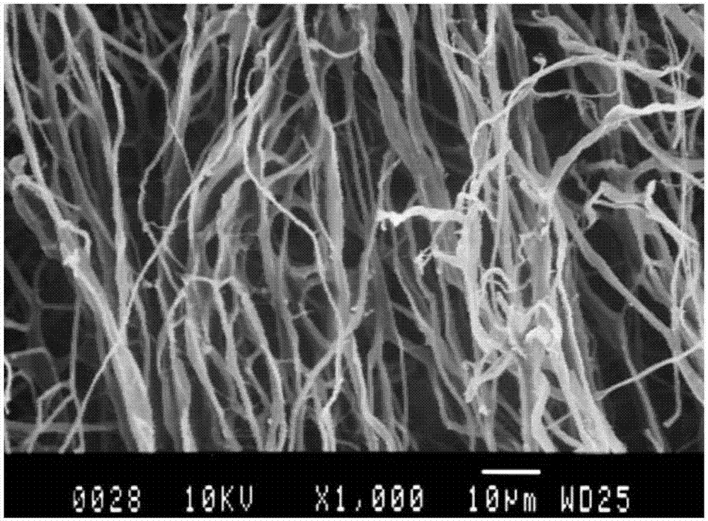 Collagen dermis material for promoting endometrium repairing and preparation method of collagen dermis material