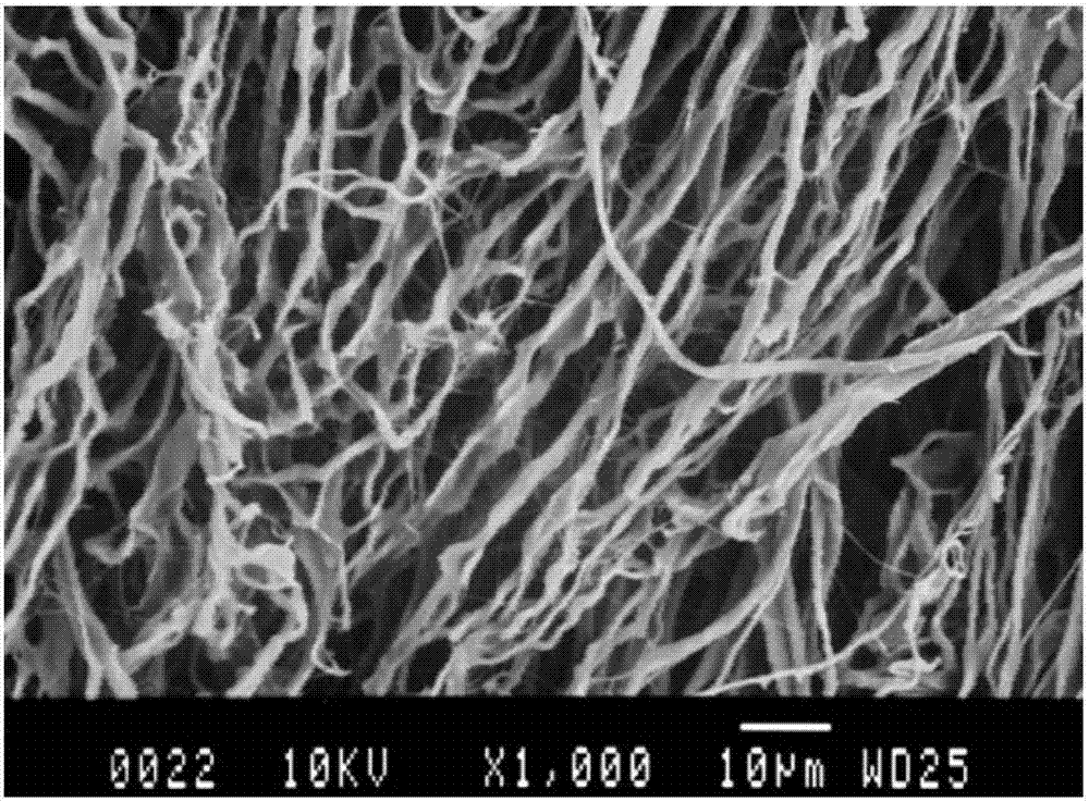 Collagen dermis material for promoting endometrium repairing and preparation method of collagen dermis material