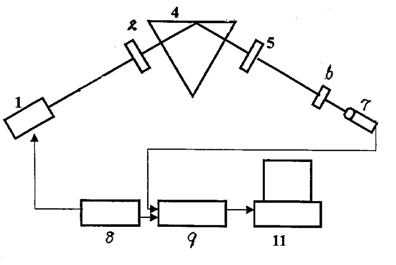 Wavelength-modulated polarized surface plasma wave sensor