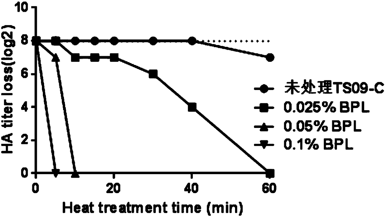 Inactivated vaccine prepared by Newcastle disease virus heat stable strain and preparation method thereof