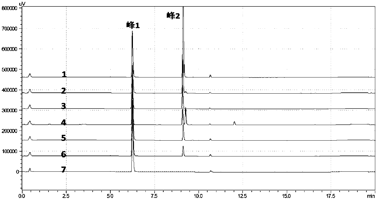 Methyltransferase and application thereof