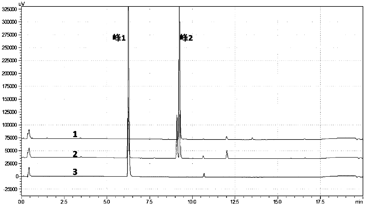 Methyltransferase and application thereof