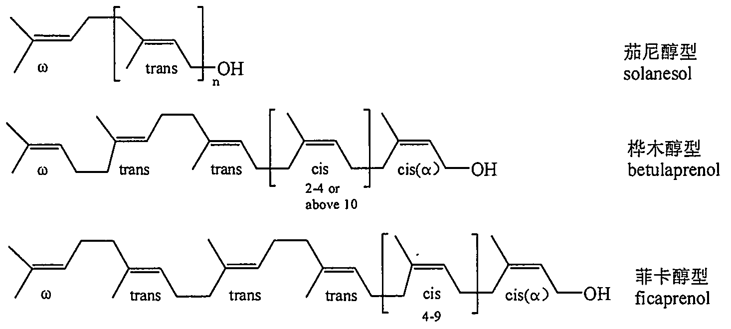 A kind of preparation method of plant polyprenol and its hydrogenated derivatives with antibacterial and antioxidative activity