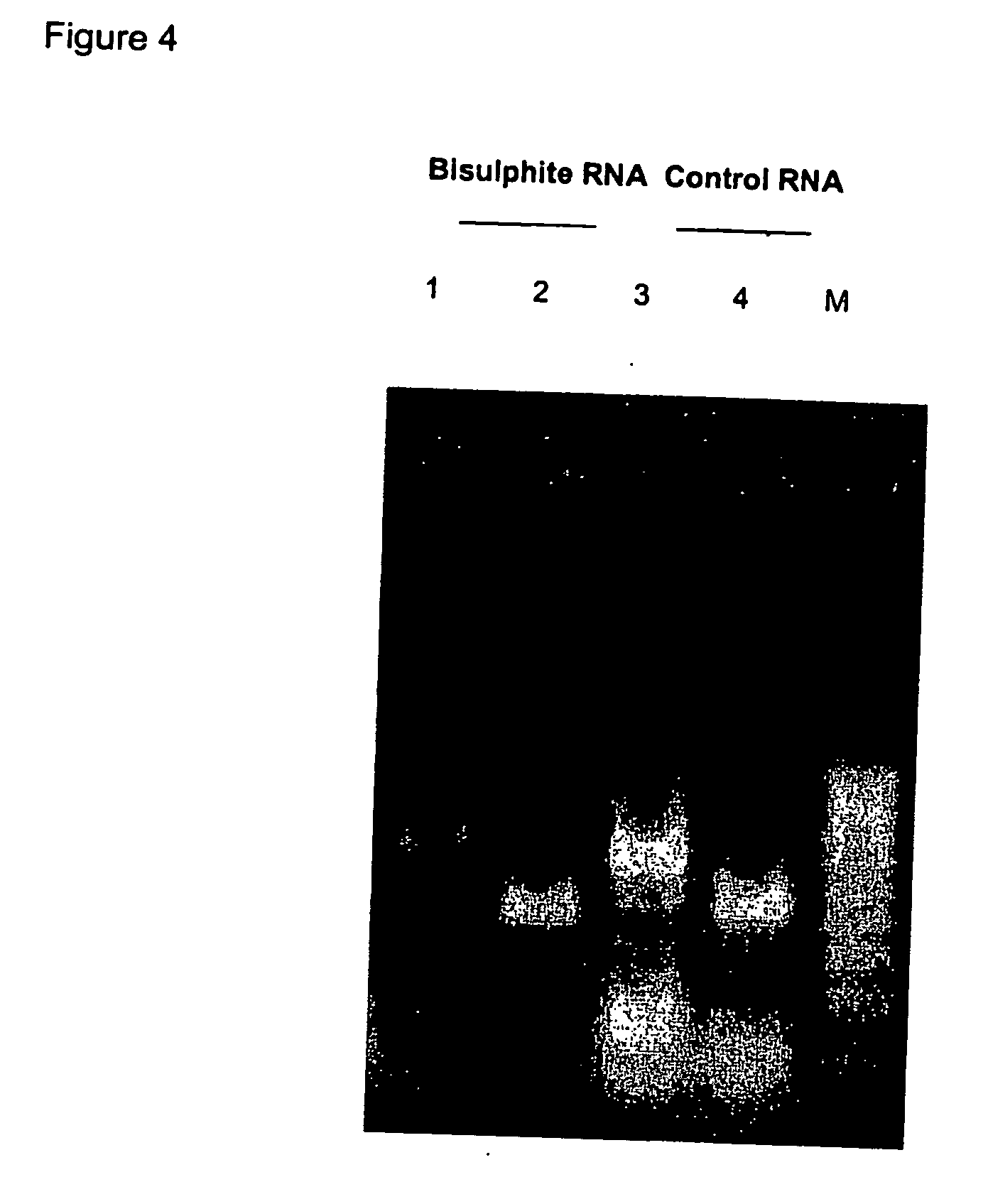 Treatment of nucleic acid