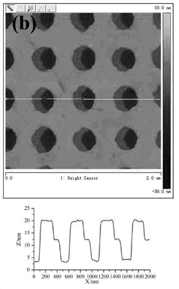 Fluorescence enhanced microarray biochip based on micro/nano periodic structures and method for preparing same