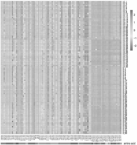 tRNA related lung adenocarcinoma prognosis model and application thereof