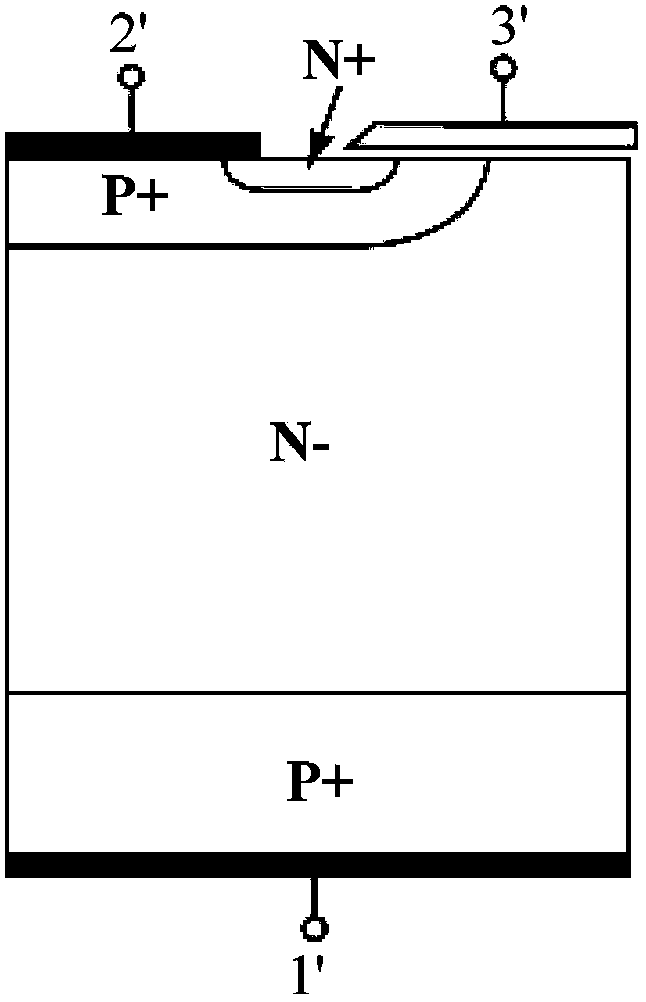 Semiconductor power device