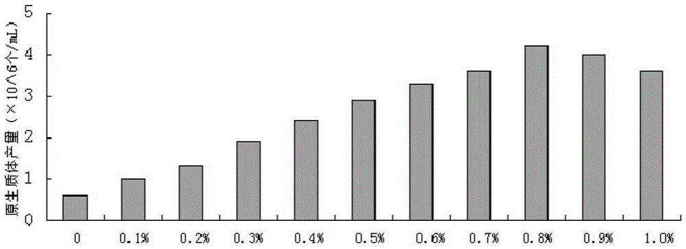 Preparing method for Aspergillus oryzae protoplast