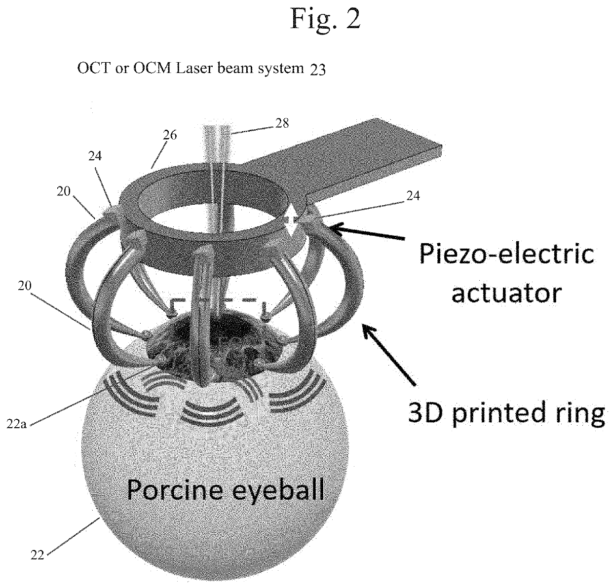 Gabor Domain Optical Coherence Elastography