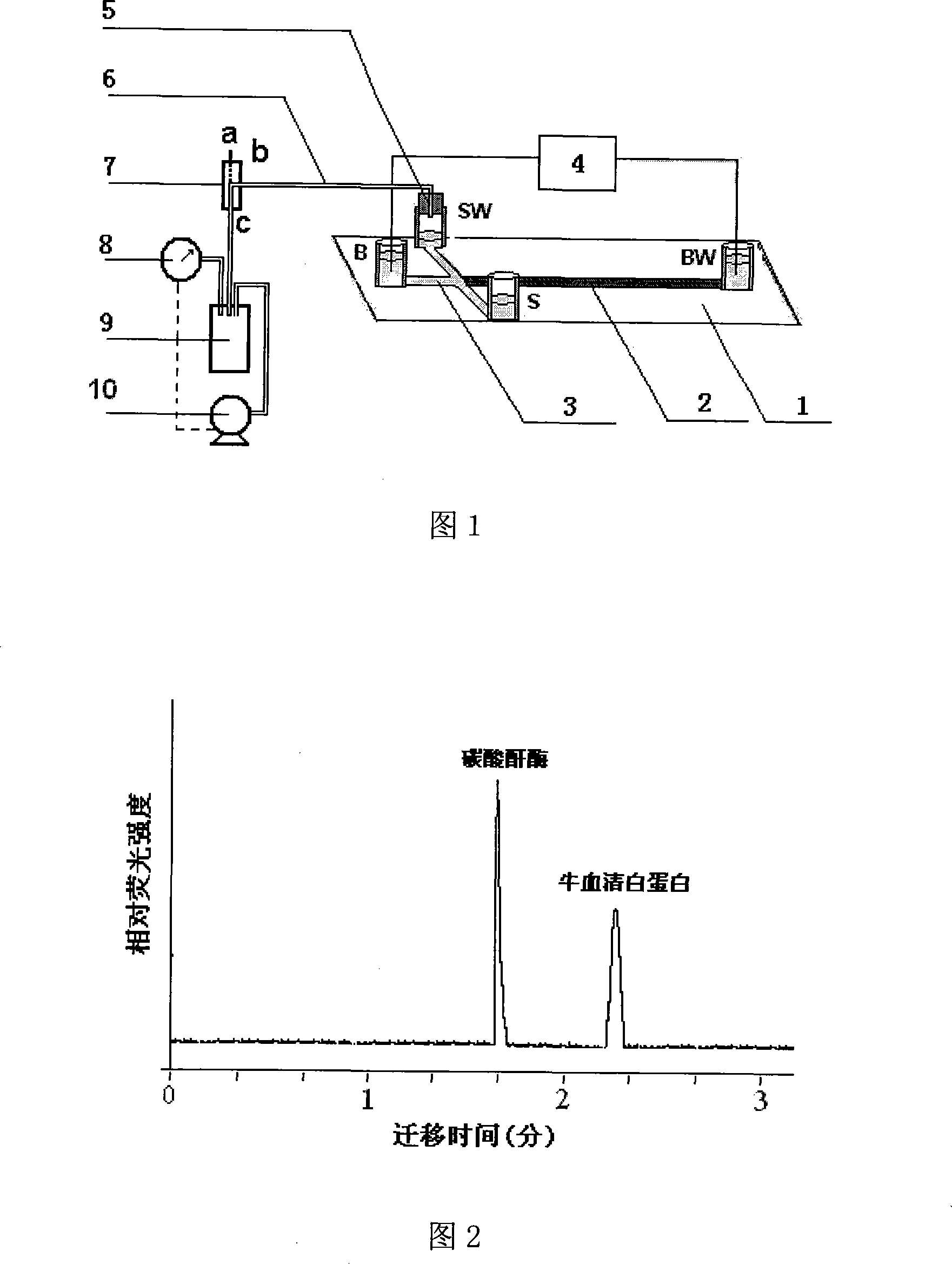 Sampling volume controllable micro-fluidic chip sieving electrophoresis analytical method