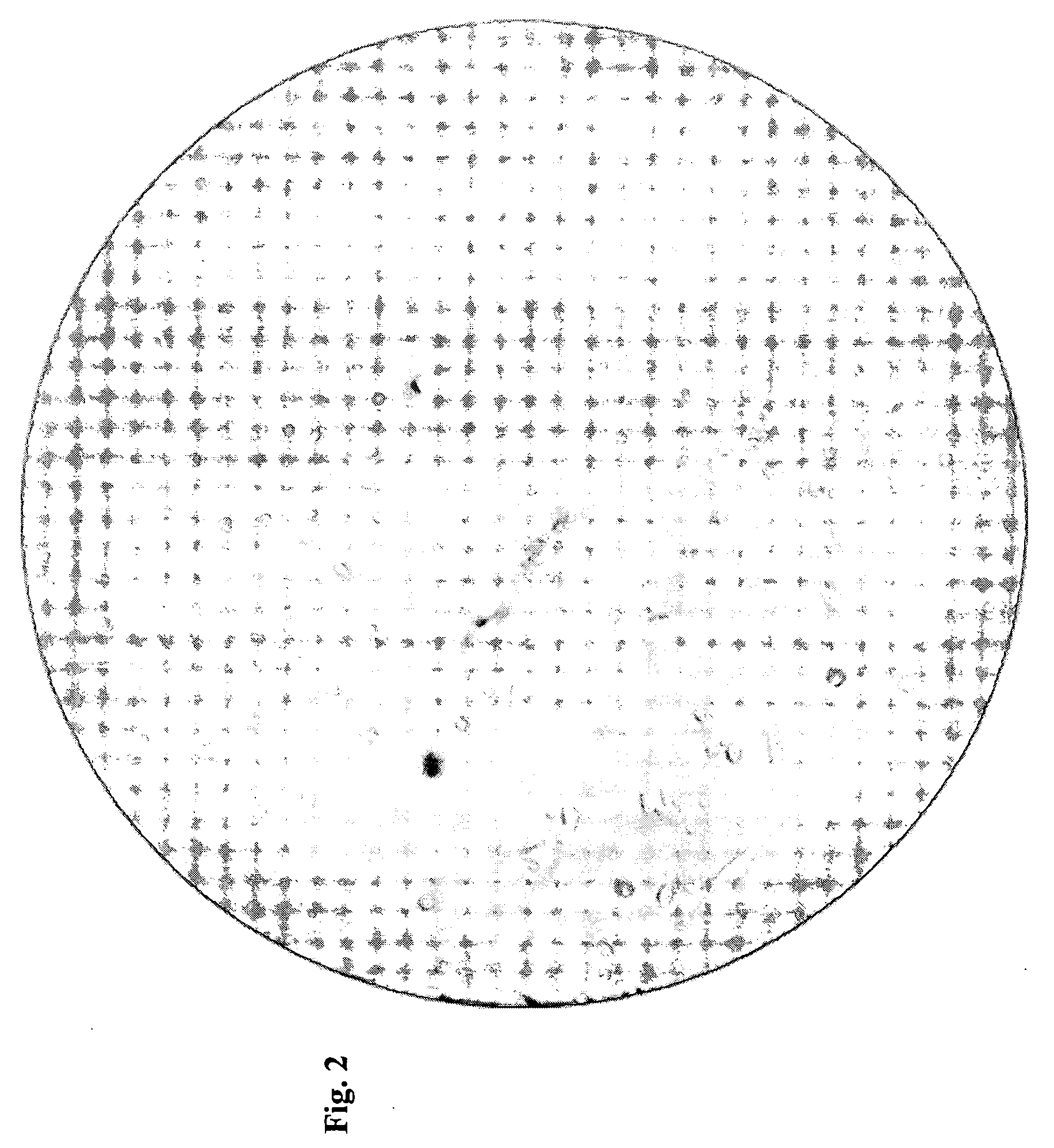 Stem cells for clinical and commercial uses