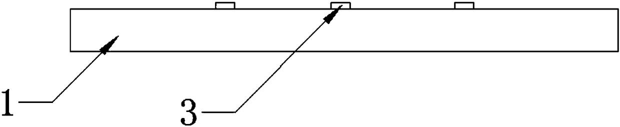 White-light Nixie tube display device and packaging technology therefor