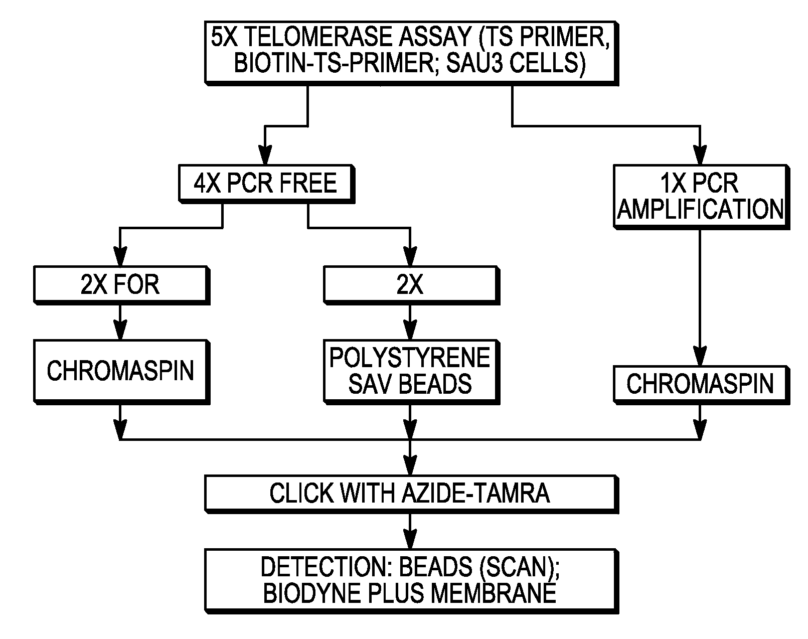 Labeling and detection of nucleic acids