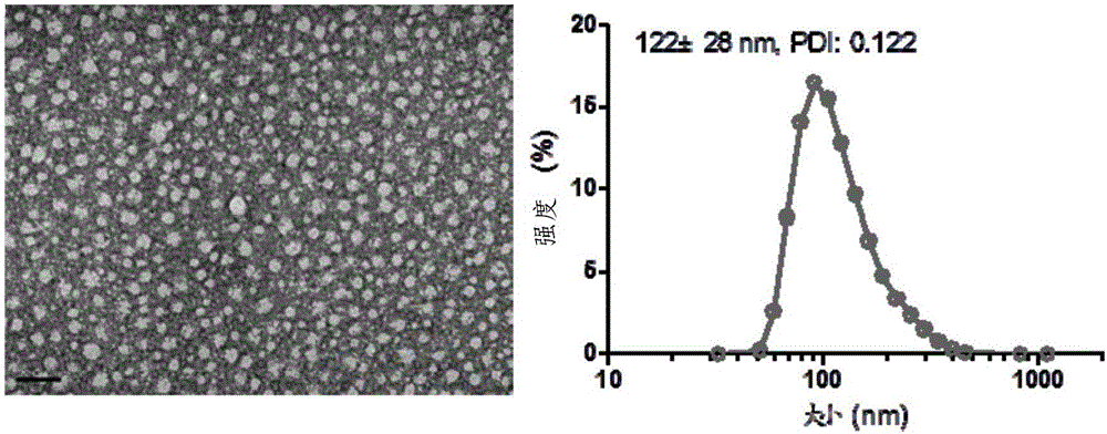 Anti-tumor medicine conjugate, preparation method, preparation and application