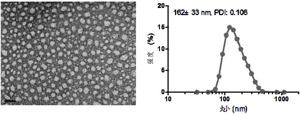 Anti-tumor medicine conjugate, preparation method, preparation and application