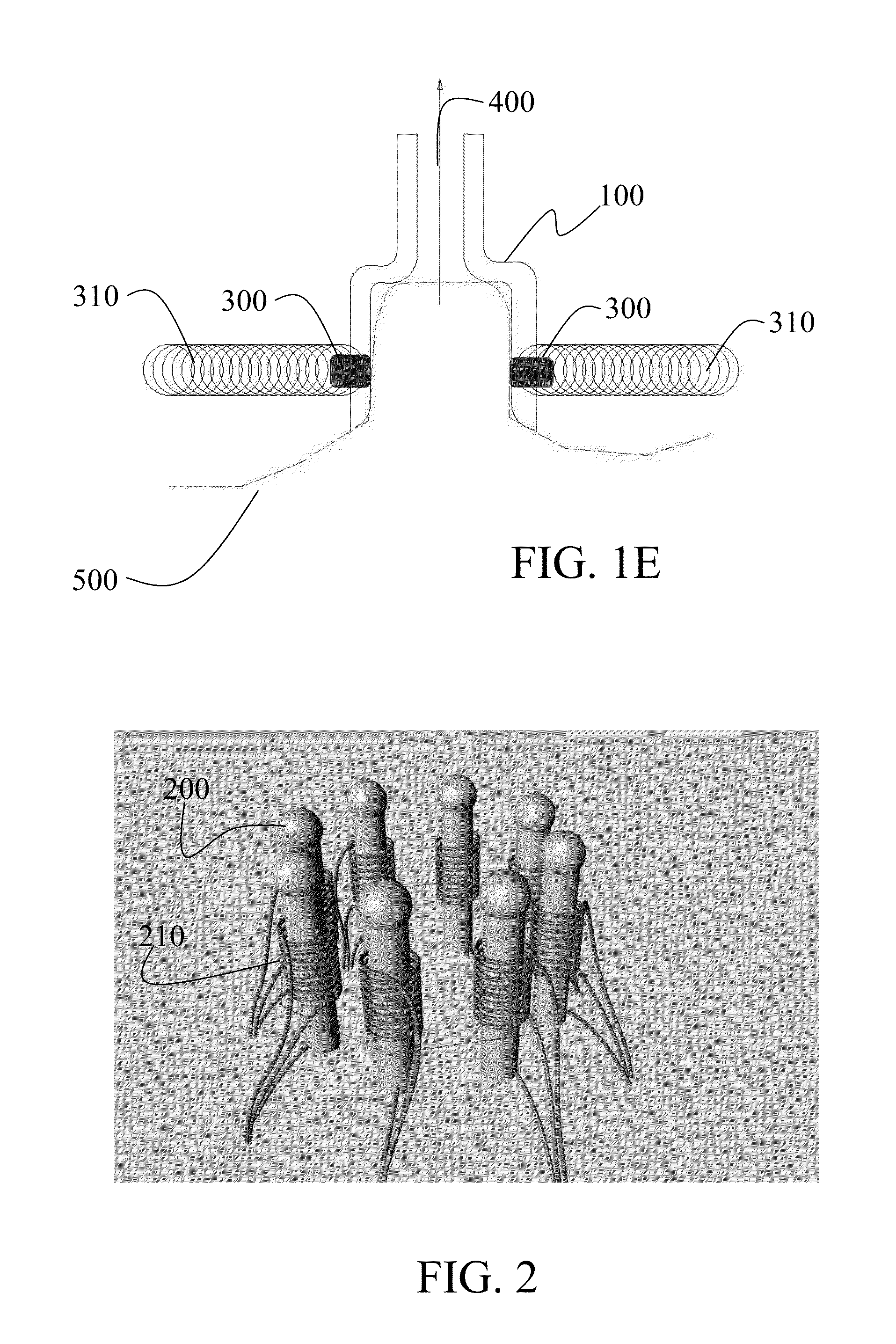 Esthetic device