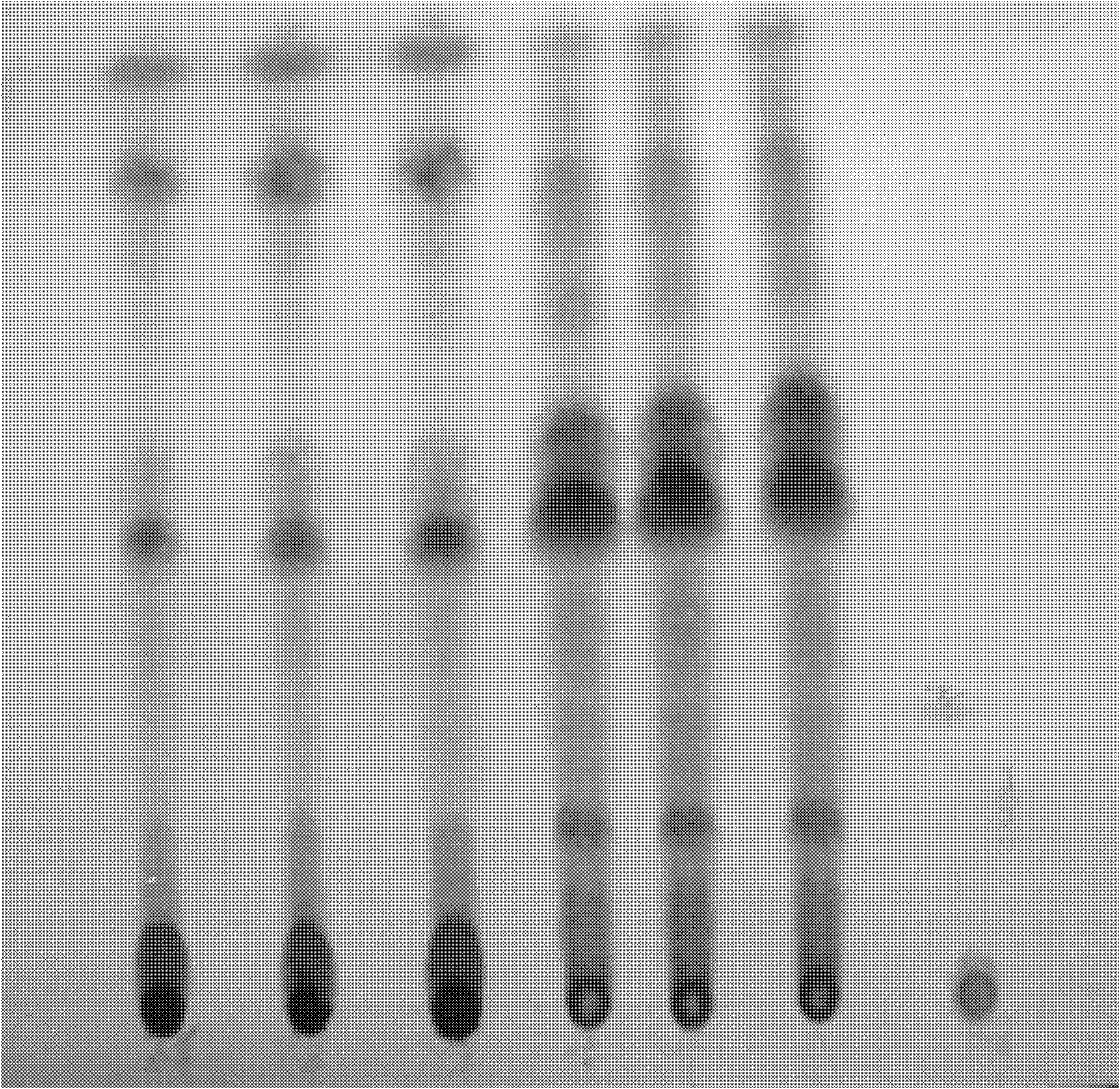 Detection method of Liuweinengxiao preparation