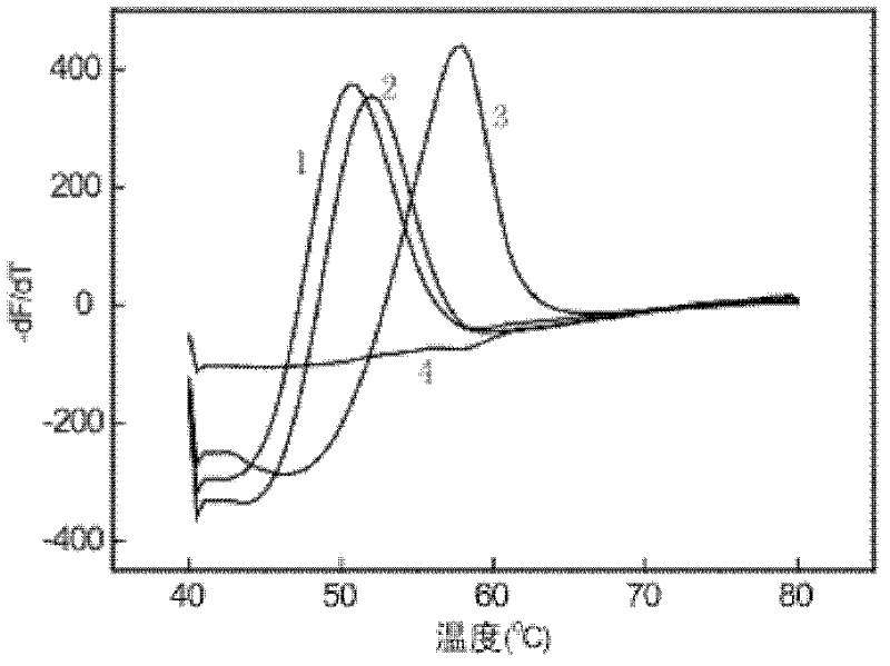 Method and kit for detecting streptomycin medicine resistant mutation of Mycobacterium tuberculosis