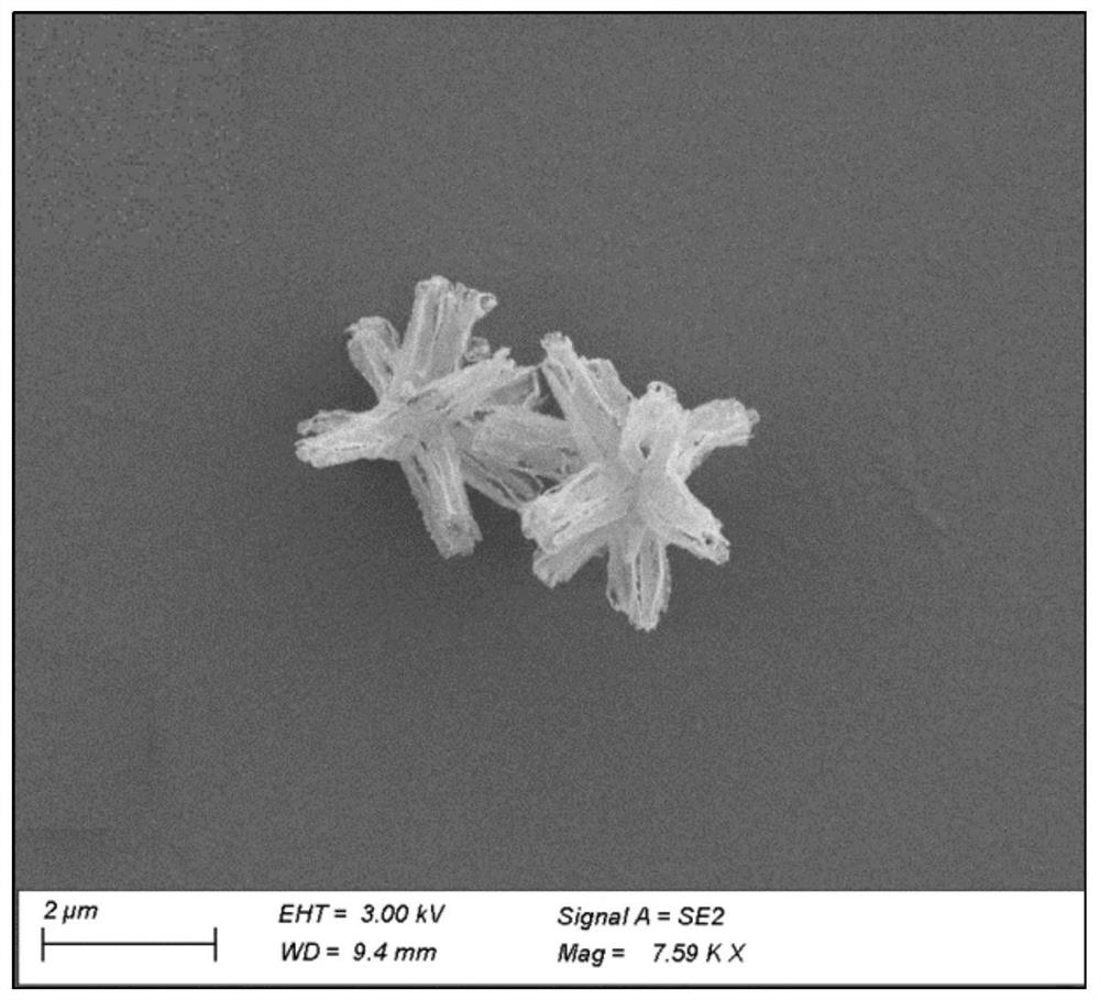 A kind of titanium dioxide and preparation method thereof