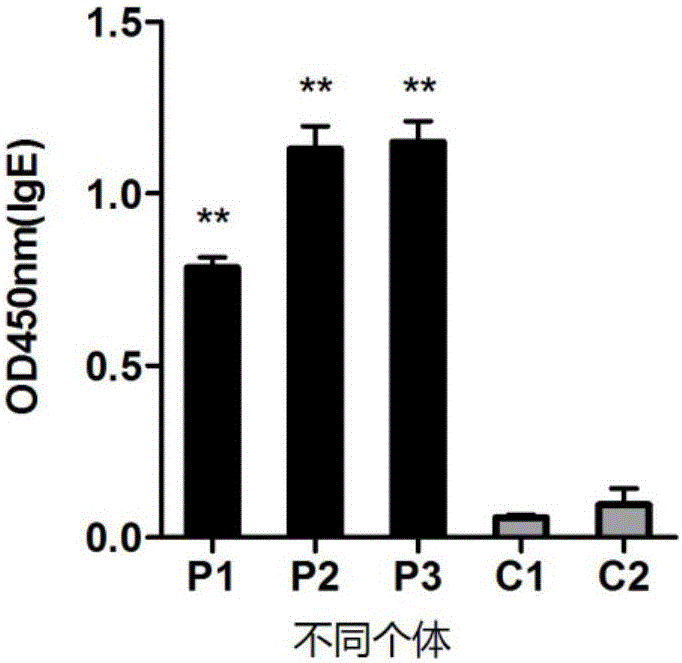 Dust mite allergen and application thereof