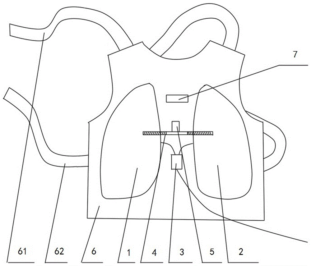 Microwave radiation therapeutic apparatus for lung