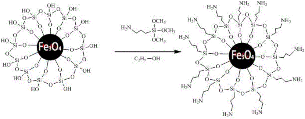 Preparation and application of amino modified Fe3O4@SiO2@mSiO2 composite particles with mesoporous structure