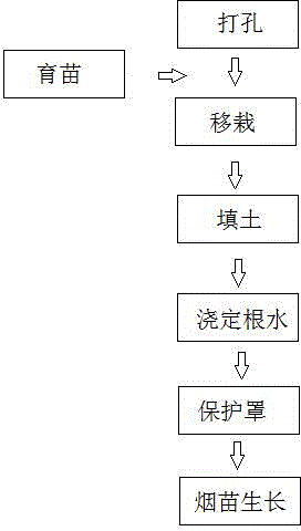 Transmitting arch crown transplanting method for tobacco seedlings