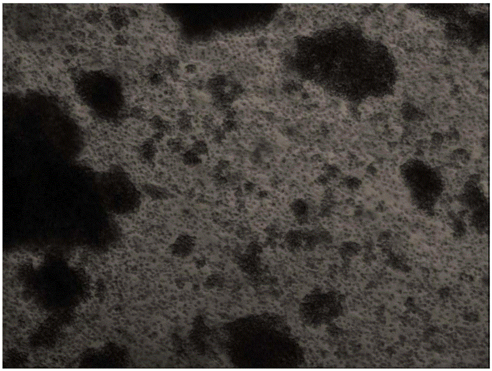 Preparing method for high-toxicity human Vgamma9Vdelta2 T cells induced by PD-1 antibody