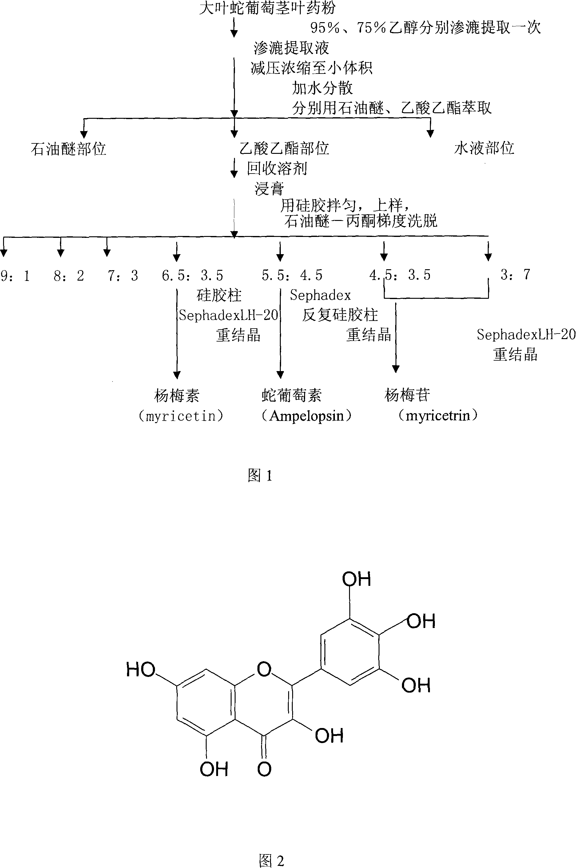 Application of ampelopsis extract in preparing medicament for treating hypertension