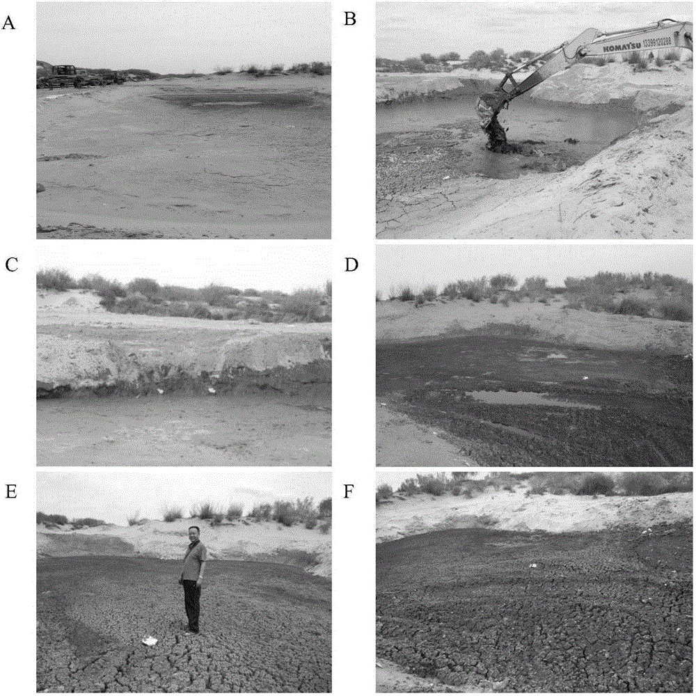 Composition or composite bacterium agent for treating waste well drilling mud