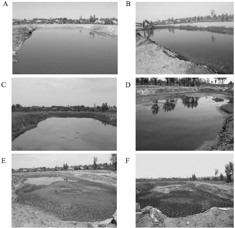 Composition or composite bacterium agent for treating waste well drilling mud