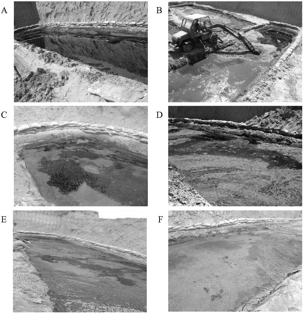 Composition or composite bacterium agent for treating waste well drilling mud