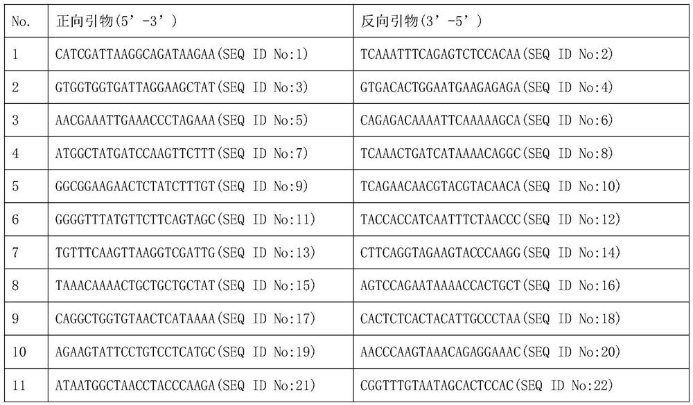 Molecular assays for rapid identification of eucalyptus populations