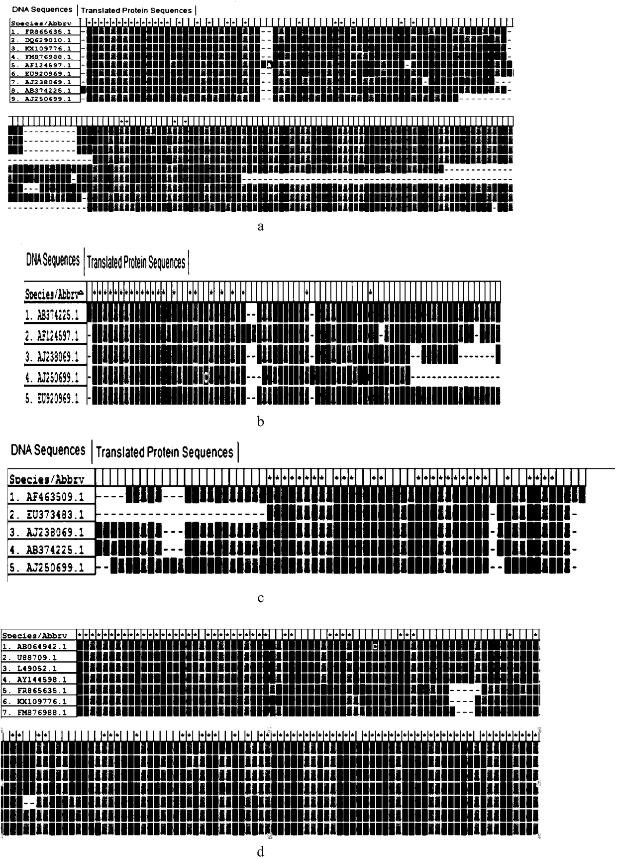 Primer for inhibiting sequence-specific amplification of 18S rDNA of shrimps and oysters and application thereof