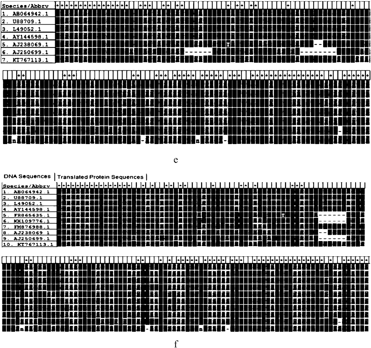 Primer for inhibiting sequence-specific amplification of 18S rDNA of shrimps and oysters and application thereof