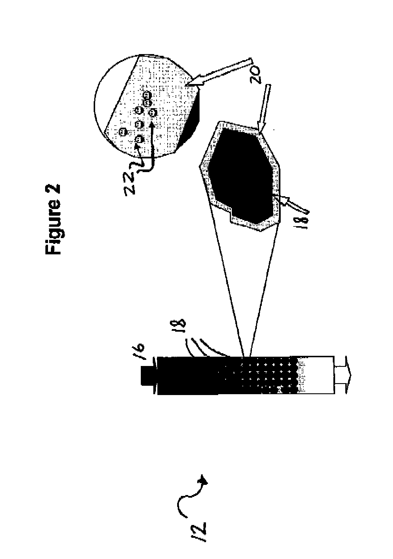 Gas purification apparatus and process using biofiltration and enzymatic reactions