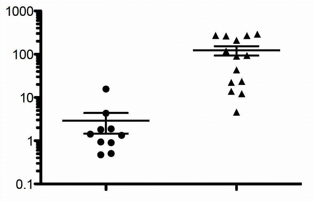 Application of DKK4 gene and coding protein thereof in preparation of medicament