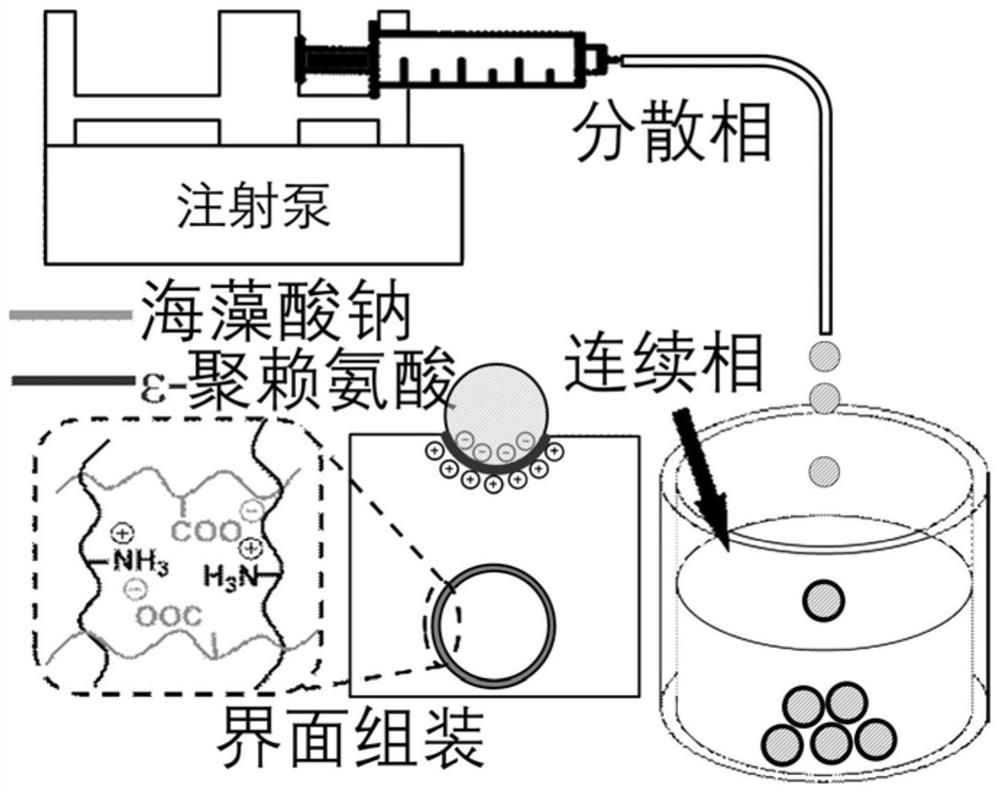 High-transmittance interface assembly core-shell type all-liquid device, preparation method and mechanical property regulation and control method thereof