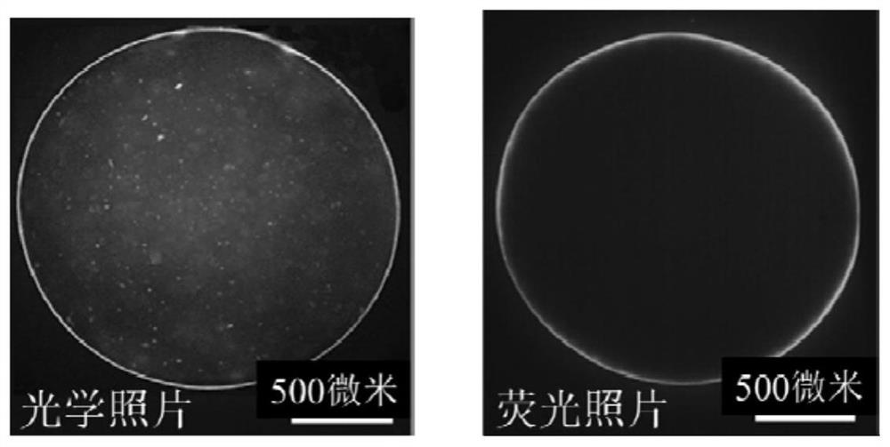 High-transmittance interface assembly core-shell type all-liquid device, preparation method and mechanical property regulation and control method thereof