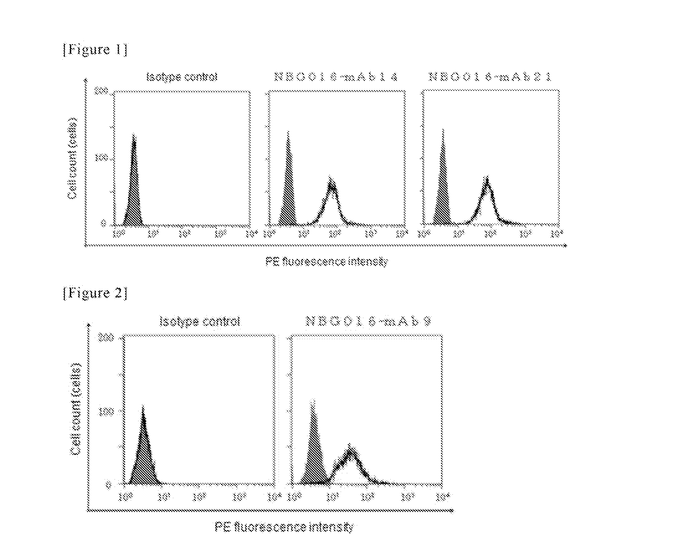 Antibody against human prostaglandin e2 receptor ep4