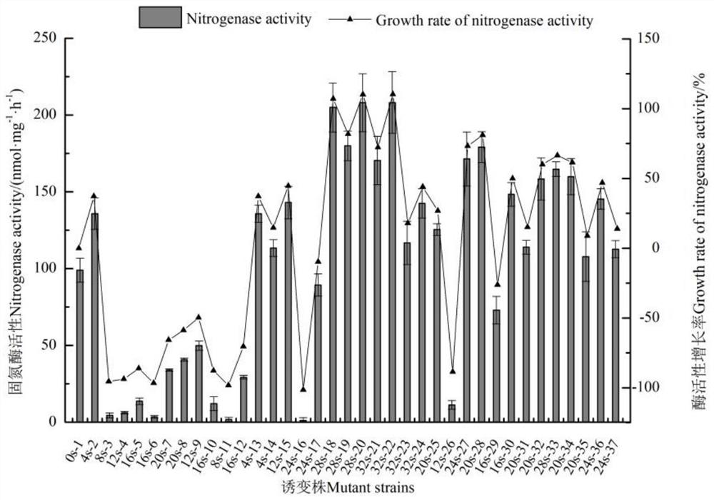 Azotobacter chroococcum mutant with good nitrogen fixation capability and application thereof