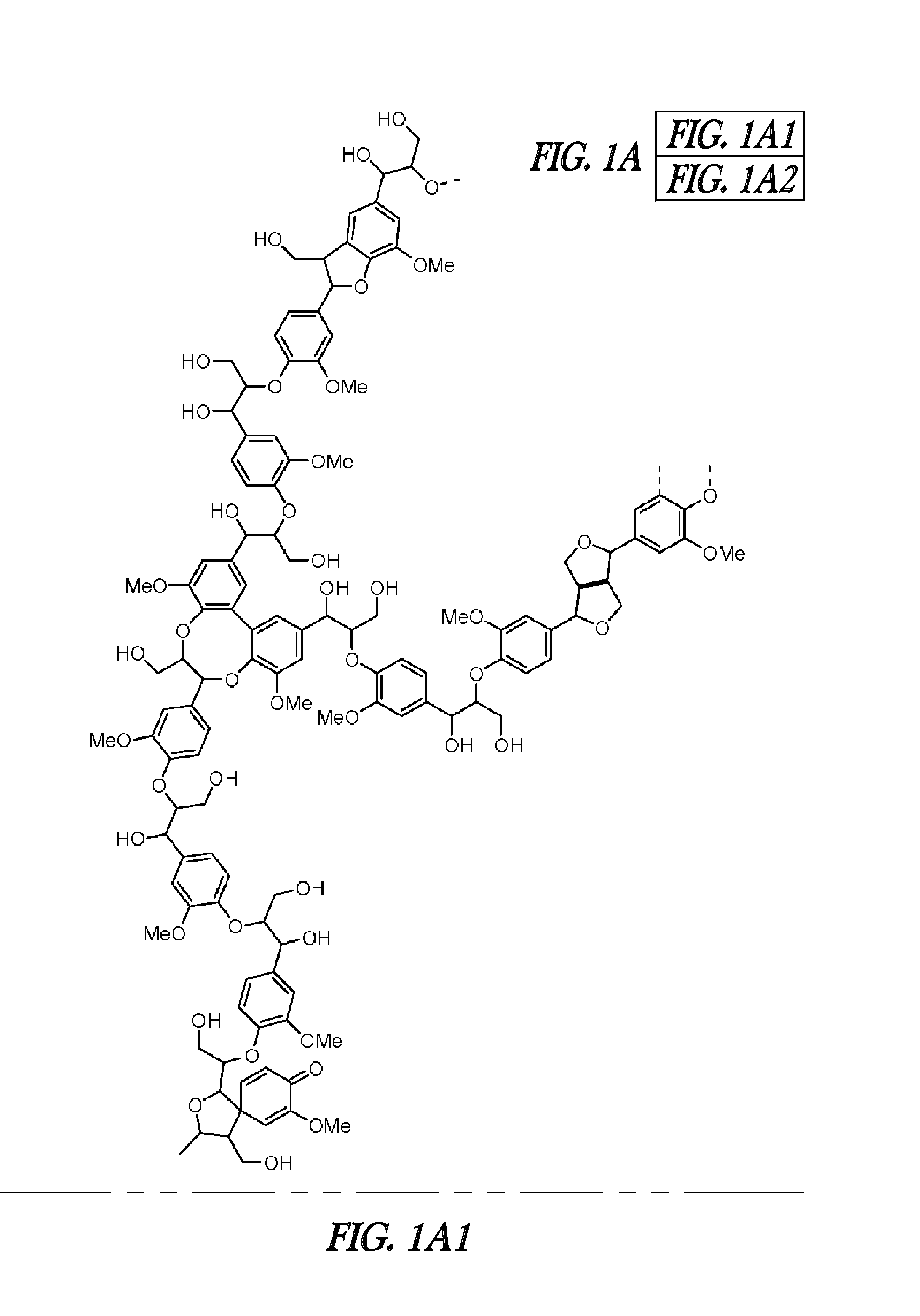 Hibiscus cannabinus feruloyl-coa:monolignol transferase