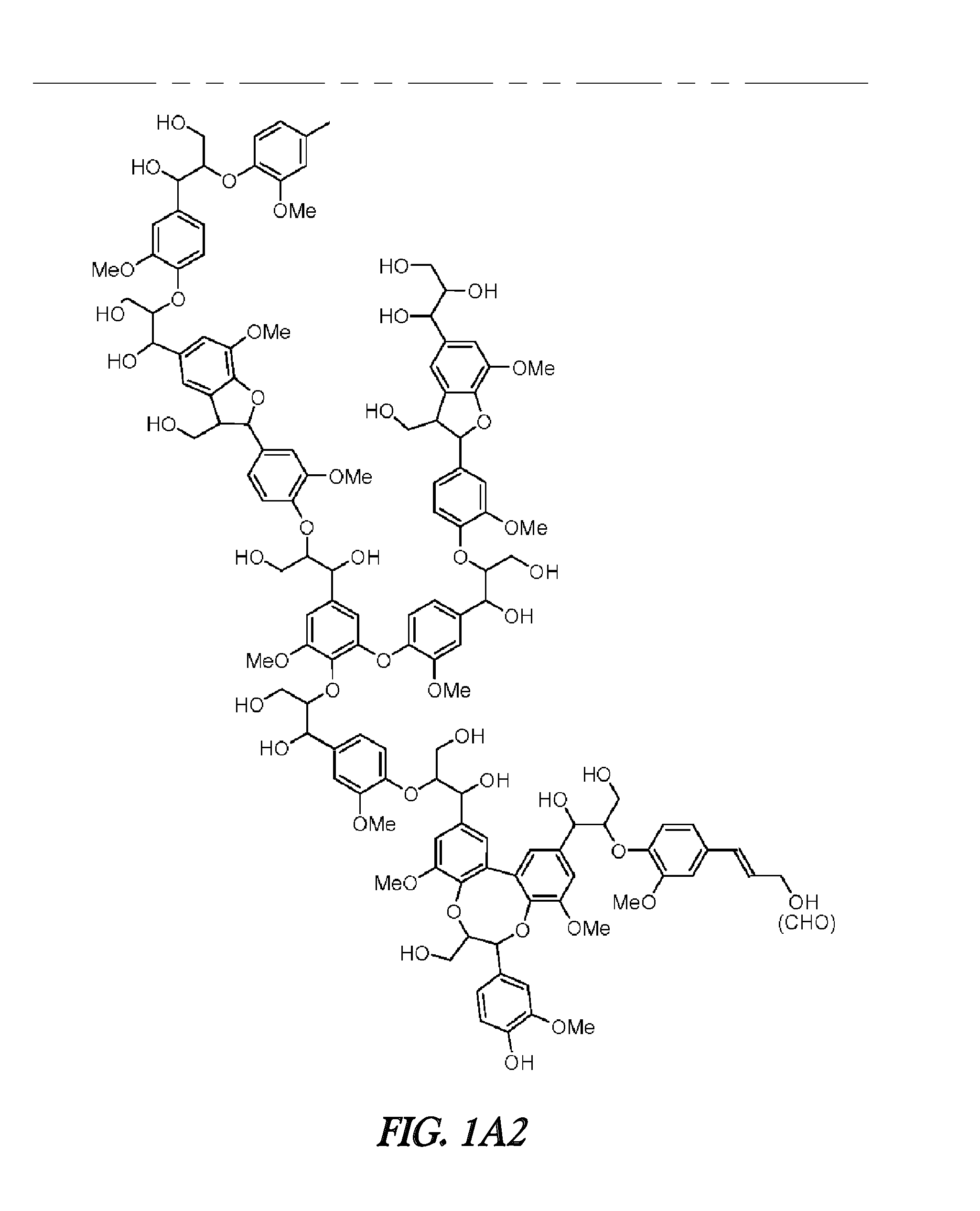 Hibiscus cannabinus feruloyl-coa:monolignol transferase