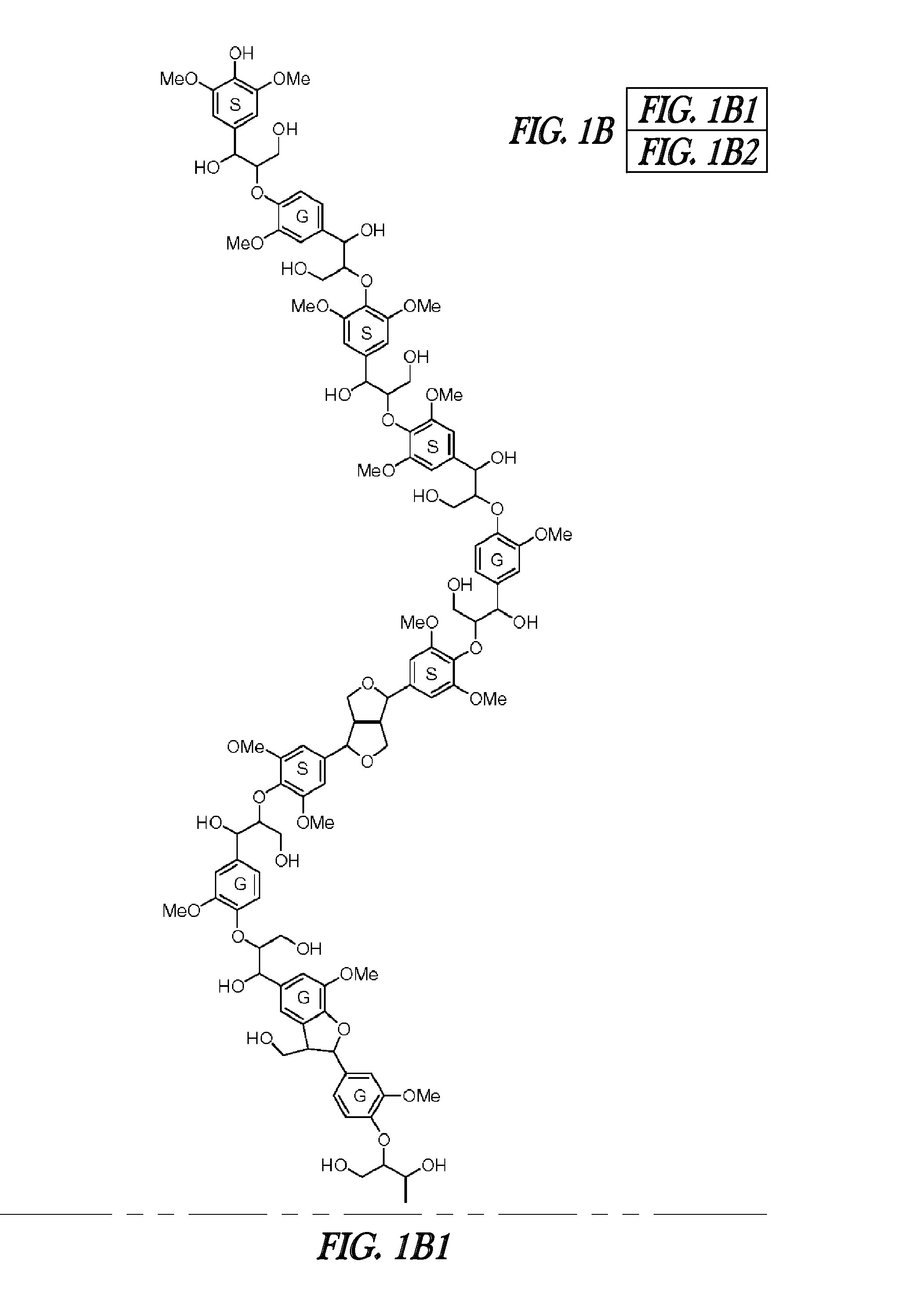 Hibiscus cannabinus feruloyl-coa:monolignol transferase