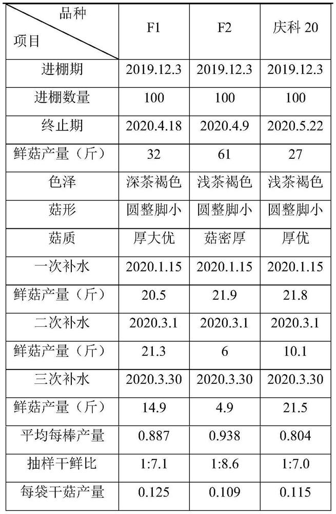 Small lentinus edodes strain and cultivation method thereof